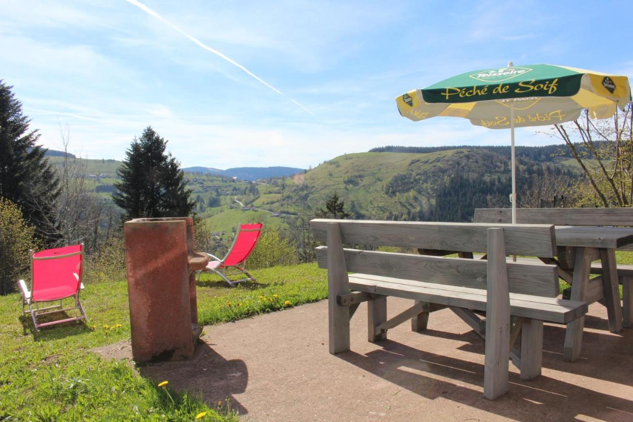 Chalet Les Bouleaux, La Montagne Des Lamas ラ・ブレス エクステリア 写真