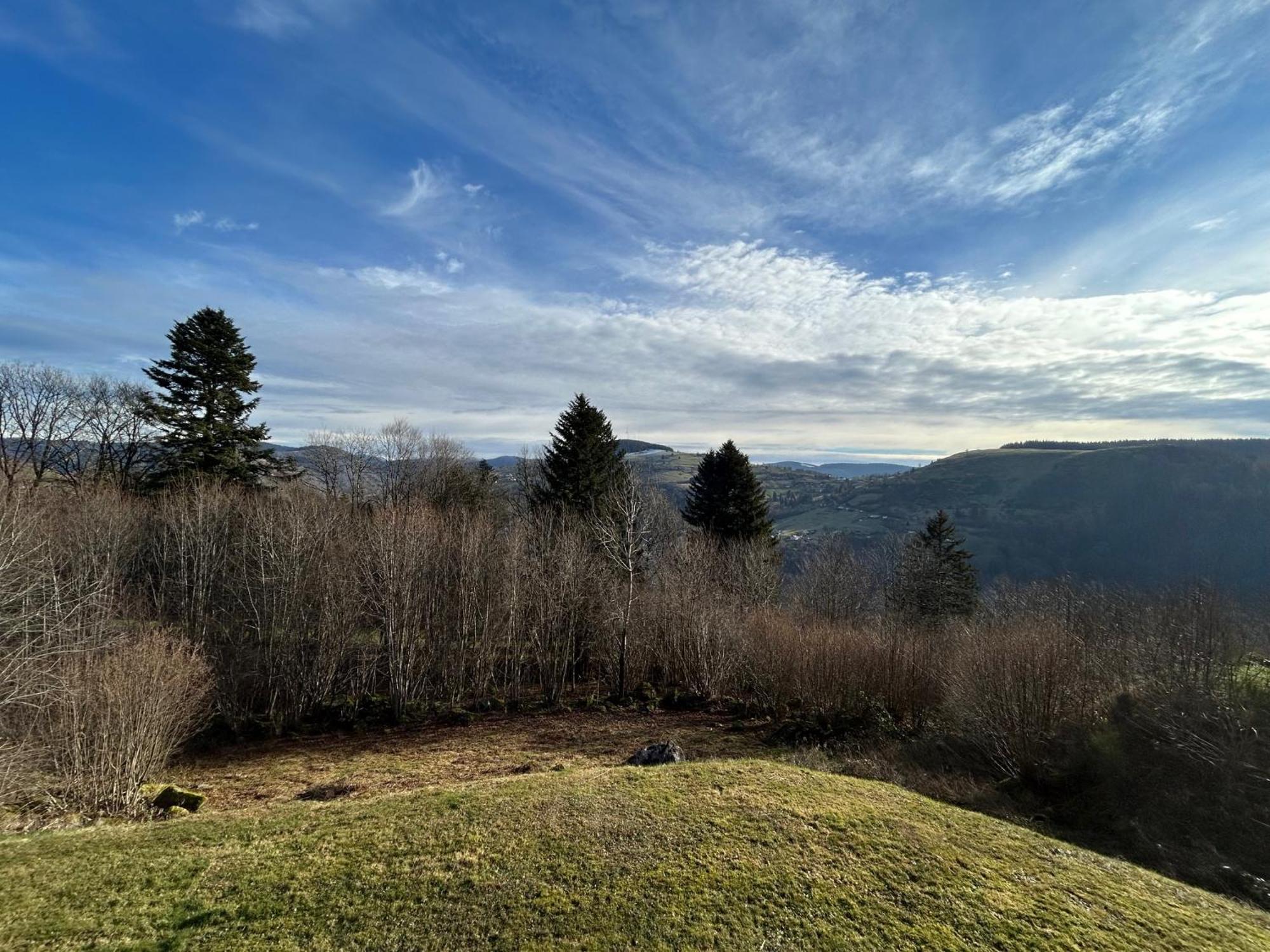 Chalet Les Bouleaux, La Montagne Des Lamas ラ・ブレス エクステリア 写真