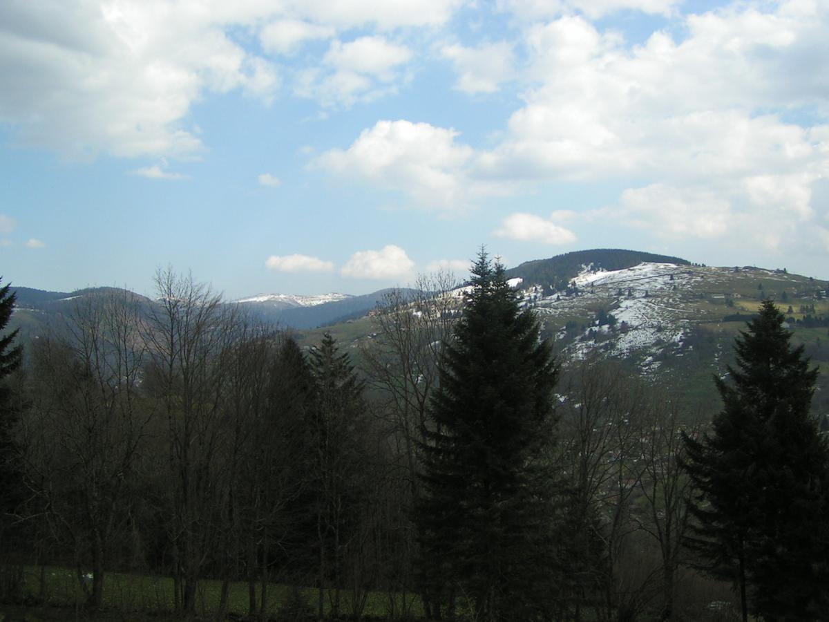 Chalet Les Bouleaux, La Montagne Des Lamas ラ・ブレス エクステリア 写真